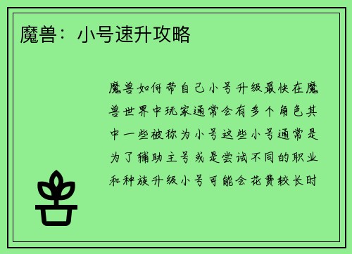 魔兽：小号速升攻略